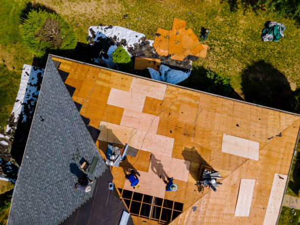 Quick and Trustworthy Emergency Roof Repair Services in Caledonia, MN