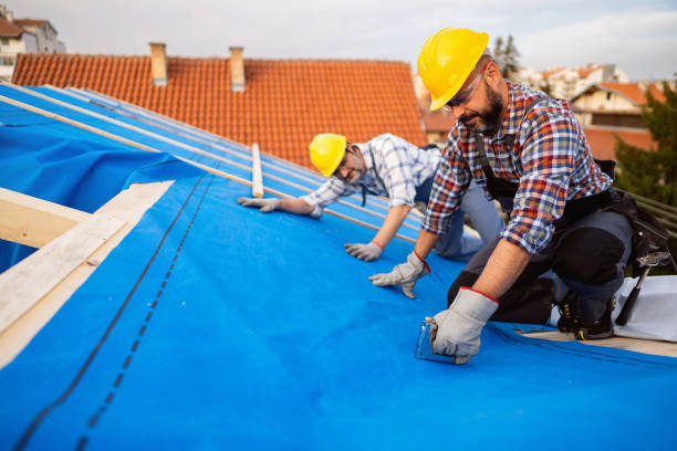 Best Roof Gutter Cleaning  in Caledonia, MN